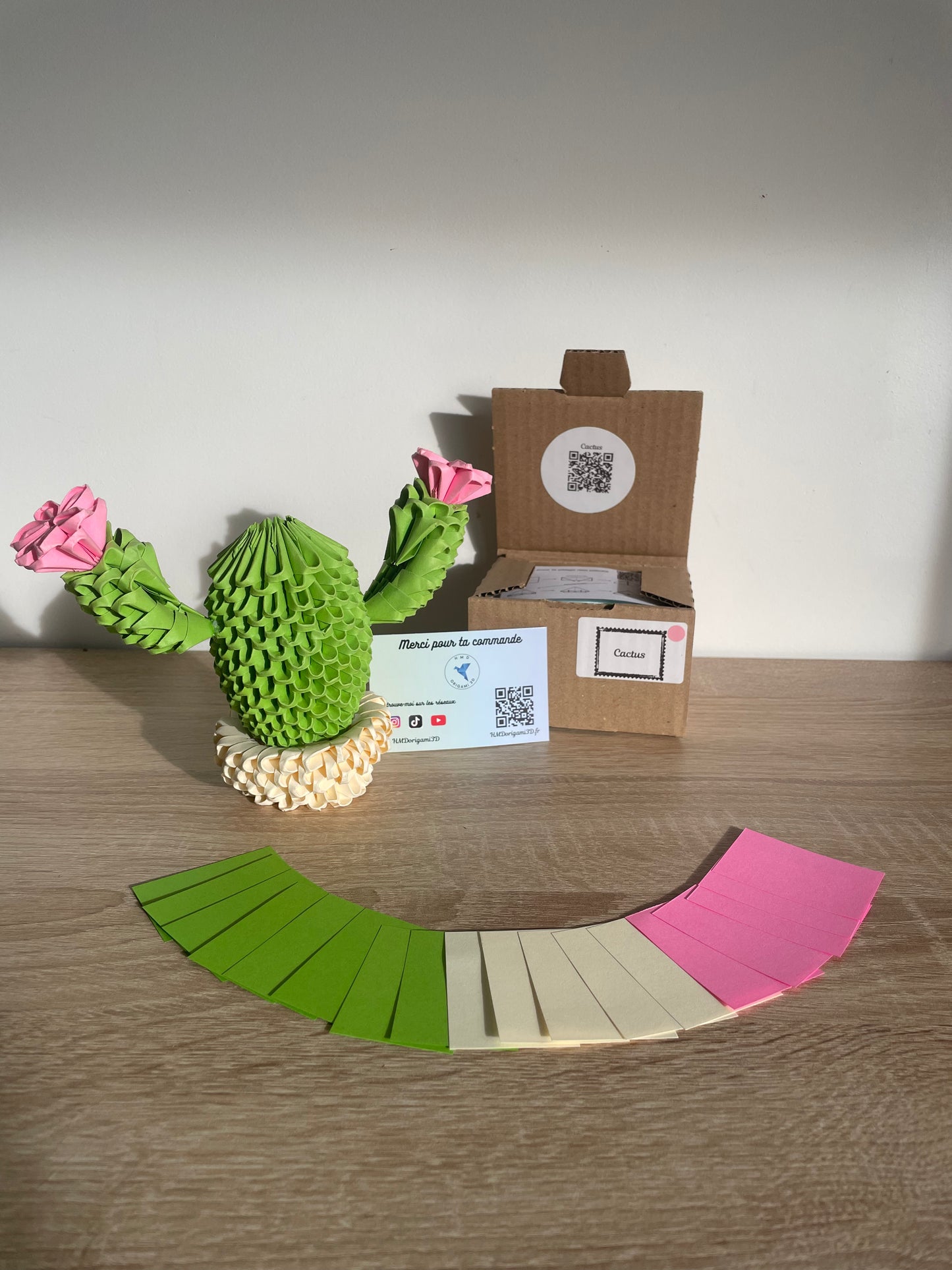 Kit Cactus