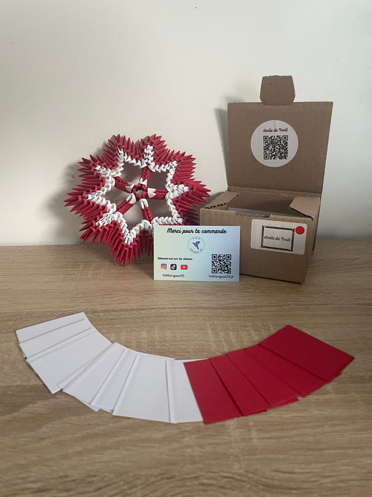Kit étoile de noël