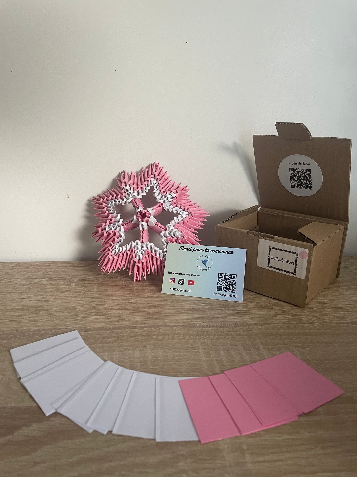 Kit étoile de noël