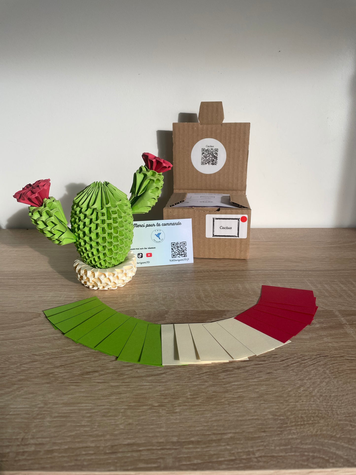 Kit Cactus